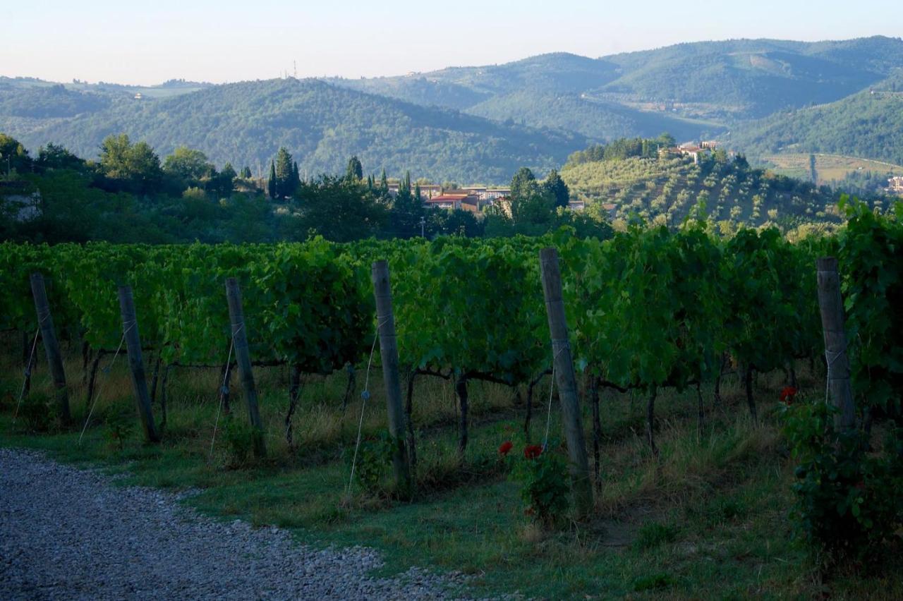 I Veroni - Agriturismo And Wine Cellar Pontassieve Exteriör bild