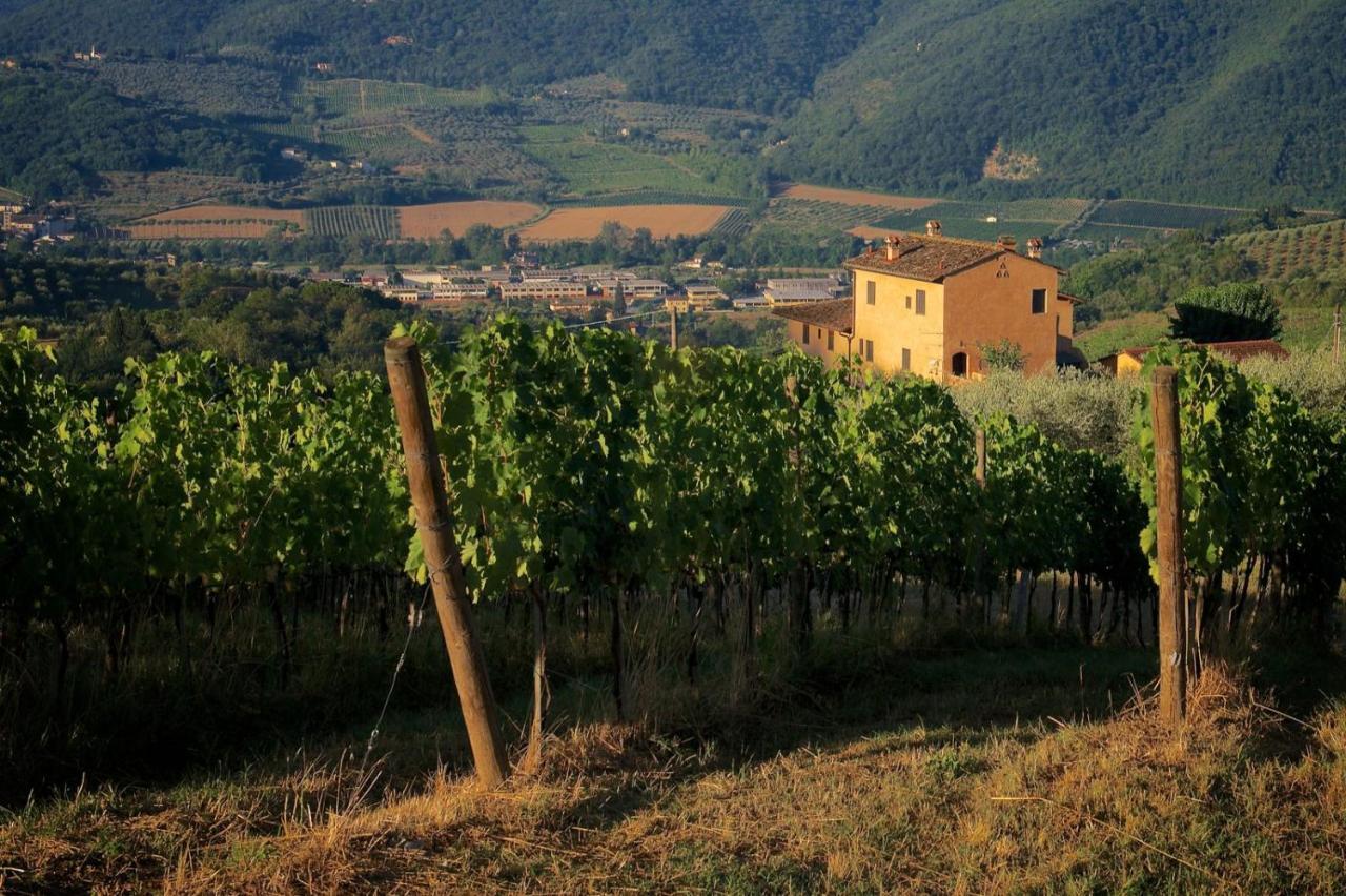 I Veroni - Agriturismo And Wine Cellar Pontassieve Exteriör bild